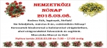 /index.php/beloiannisz/beloiannisz-hirek/975-2018-03-08-nemzetkozi-nonap